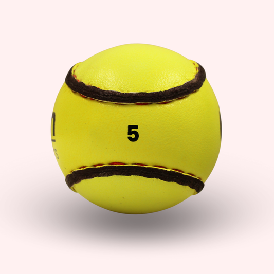 Championship Sliotar (Single)
